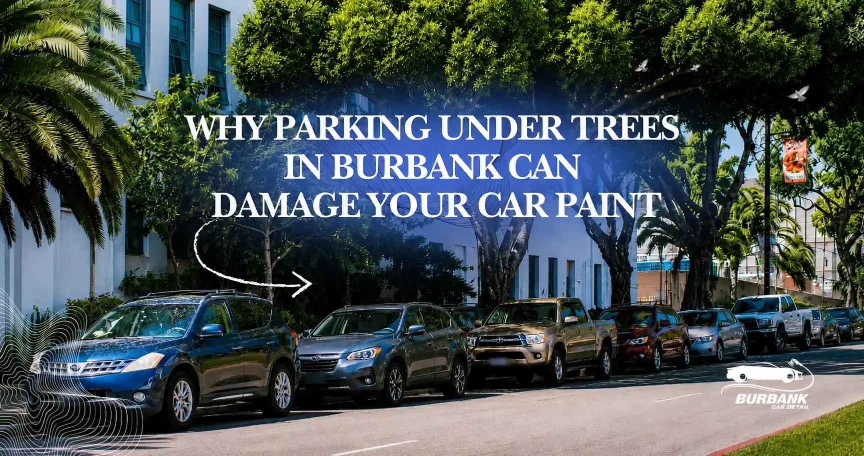 Why Parking Under Trees in Burbank Can Damage Your Car Paint