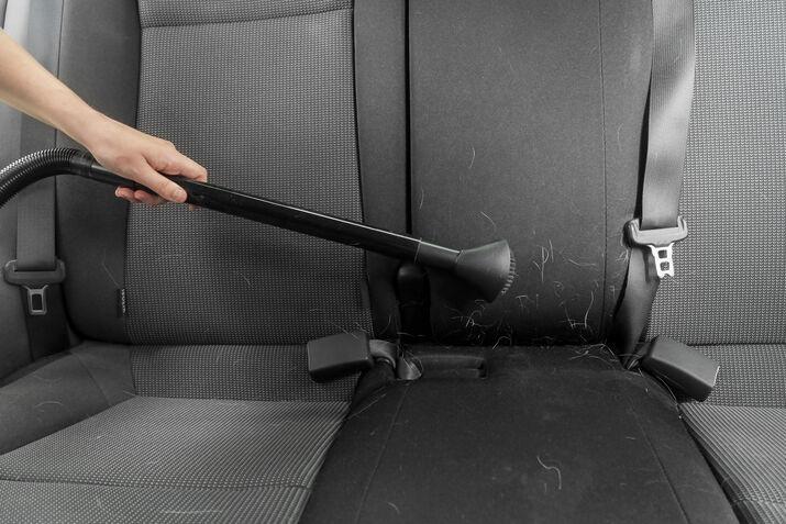 Best Ways to Get Dog Hair Out of a Car Upholstery